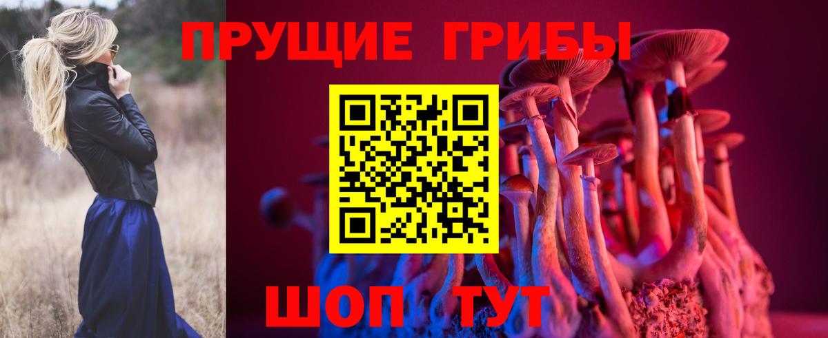 Галлюциногенные грибы мухоморы  Вход с VPN  Соль-Илецк 