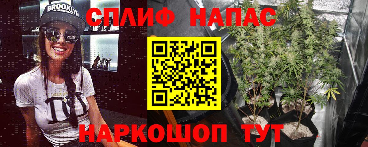 Шишки марихуана OG Kush  Шишки марихуана Amnesia  Вход с VPN  Соль-Илецк 